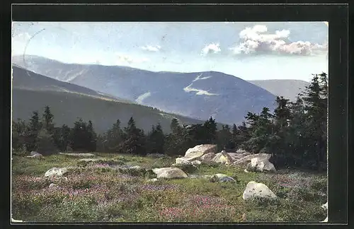 Künstler-AK Photochromie Nr.2681: Landschaftsbild im Riesengebirge