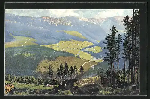 Künstler-AK Photochromie Nr.2667: Panoramaansicht im Riesengebirge