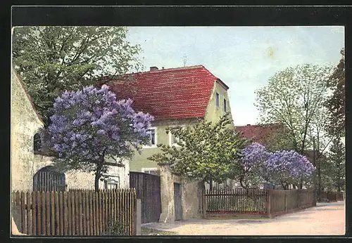 Künstler-AK Photochromie Nr.2756: Ortspartie