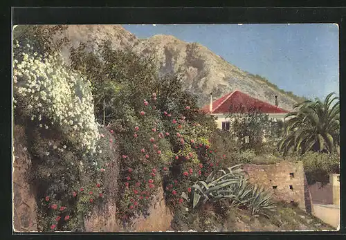 Künstler-AK Photochromie Nr.2654: Mentone, Riviera di Ponente