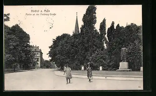 AK Höchst a. Main, Partie an der Feldberg-Strasse