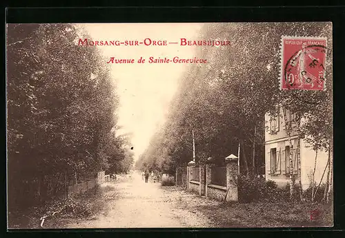 AK Morsang-sur-Orge, Parc Beausejour - Avenue de Sainte-Genevieve