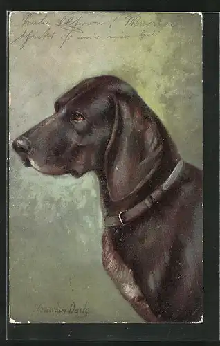 AK Jagdhund mit treuem Blick