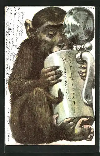 AK Affe trinkt aus einem Bierkrug