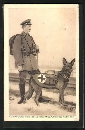 AK Sanitätshund Troll in feldmarschmässiger Ausrüstung mit seinem Hundeführer