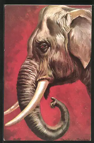 Künstler-AK Ermenegildo Carlo Donadini: Elefant mit mächtigen Stosszähnen