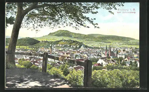 AK Freiburg i. B., Ortsansicht vom Schlossberg