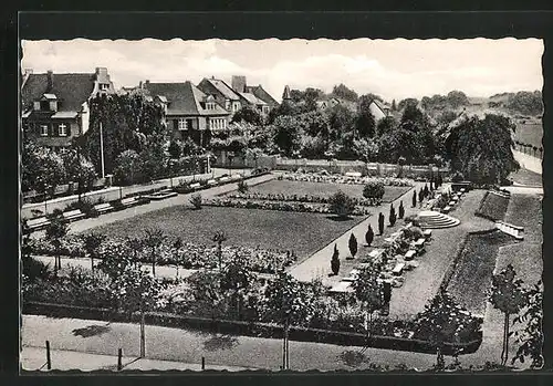 AK Bad Hönningen, Rosengarten