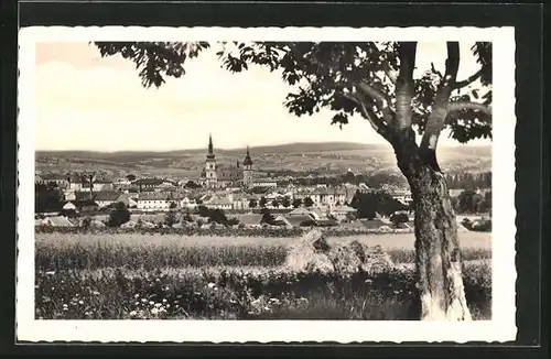 AK Wischau / Vyskov, Gesamtansicht