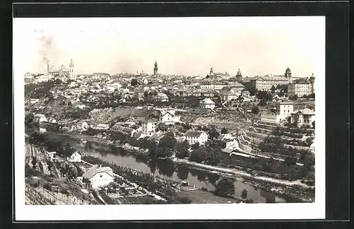 AK Znojmo, Celkový pohled