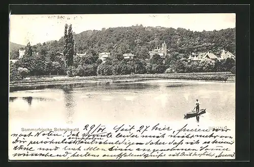 AK Brünn / Brno, Schreibwald vom Wasser aus gesehen