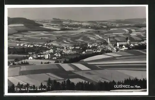 AK Olesnice, Celkový pohled