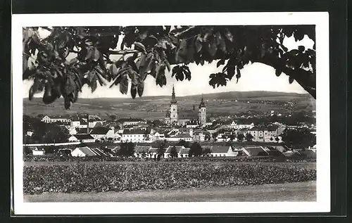 AK Wischau / Vyskov, Celkový pohled