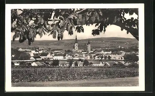 AK Wischau / Vyskov, Gesamtansicht