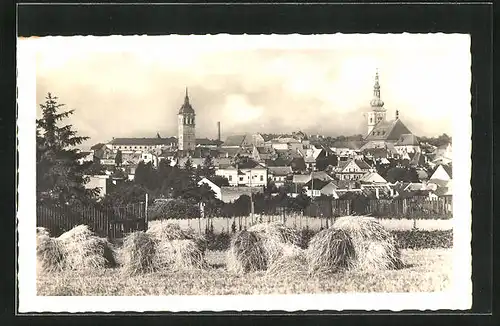 AK Wischau / Vyskov, Celkový pohled