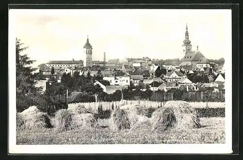 AK Wischau / Vyskov, Celkový pohled