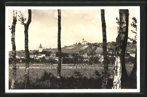 AK Bzenec, Celkový pohled