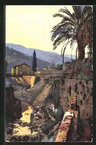 Künstler-AK Photochromie Nr.2646: Riviera di Ponente, San Remo