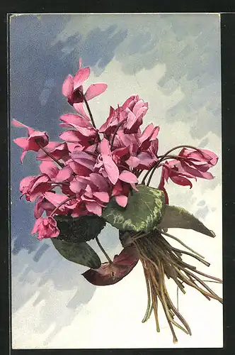 Künstler-AK Photochromie Nr.752: Ein Strauss Alpenveilchen