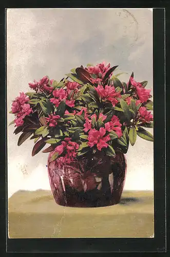 Künstler-AK Photochromie Nr.735: Ein Topf mit Rhododendron