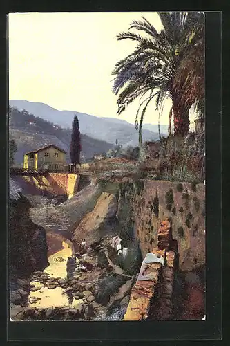 Künstler-AK Photochromie Nr.2646: Riviera di Ponente, San Remo