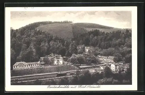 AK Rentzschmühle, Ortsansicht mit Hotel Steinicht