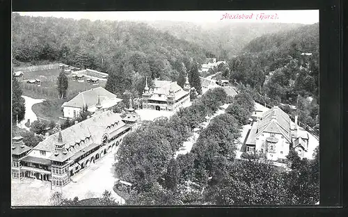 AK Alexisbad (Harz), Ortsansicht aus der Vogelschau