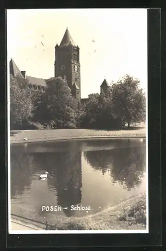 AK Posen / Poznan, Blick zum Schloss