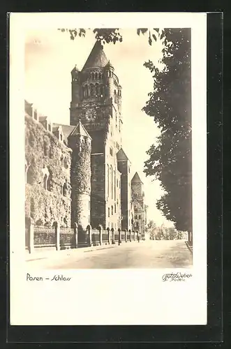 AK Posen / Poznan, am Schloss