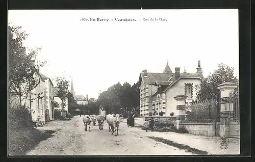 AK Veaugues, Rue de la Gare