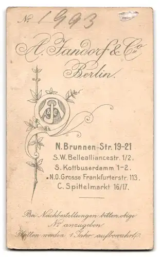 Fotografie A. Jandorf, Berlin, Brunnenstrasse 19-21, Knabe im Matrosenanzug mit Bilderbuch