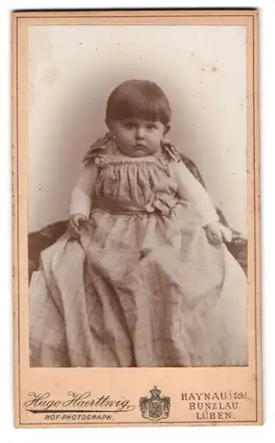 Fotografie Hugo Haerttwig, Lüben, Ring 46, Junges Mädchen in einem grossen Kleid