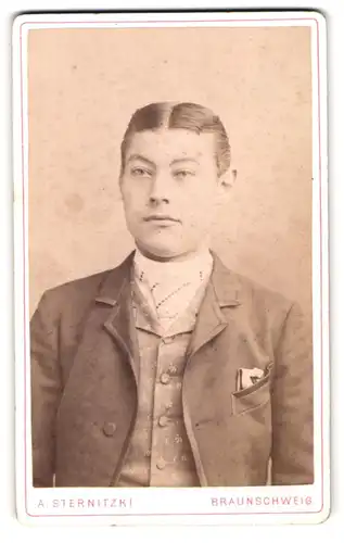 Fotografie A. Sternitzki, Braunschweig, Steinweg 10, Portrait junger Herr im Anzug mit Krawatte und Einstecktuch