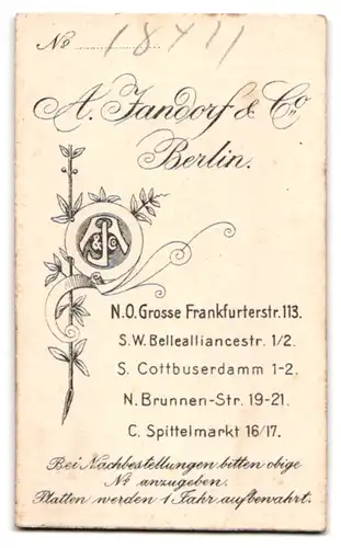 Fotografie A. Jandorf & Co., Berlin-NO, Grosse Frankfurterstr. 113, Portrait süsses Kleinkind im Kleid sitzt auf Fell