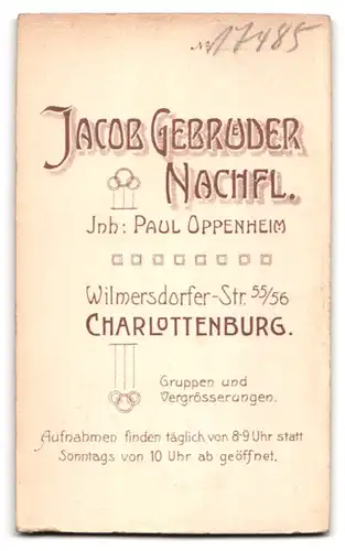 Fotografie Paul Oppenheim, Berlin-Charlottenburg, Wilmersdorfer-Str. 55-56, Portrait junger Herr im Anzug mit Fliege