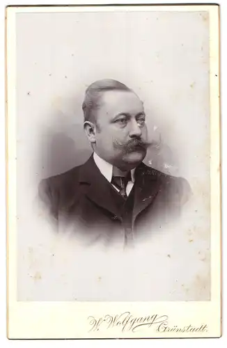 Fotografie W. Wolfgang, Grünstadt, älterer Herr im Anzug mit Zwirbelbart