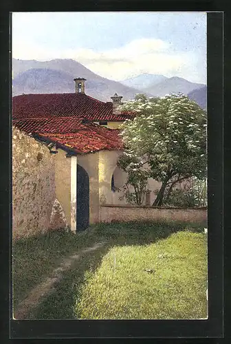 Künstler-AK Photochromie Nr. 3308: Lago di Lugano, Albogasio, Wiese im Hof