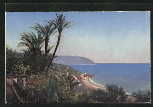 Künstler-AK Photochromie Nr. 2640: Riviera di Ponente, Bordighera, Palmen an der Küste