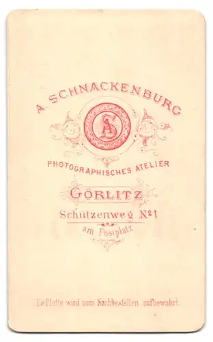 Fotografie A. Schnachenburg, Görlitz, Schützenweg 1, Portrait Dame im seidenen Kleid mit Haube