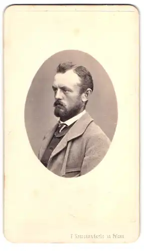 Fotografie F. Kotschanderle, Pilsen, Portrait Mann im grauen Anzug mit Vollbart