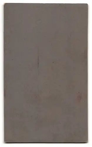 Fotografie H. Warkus, Düsseldorf, Kasernenstr. 61, Portrait Edelmann mit lang gewachsenem Vollbart