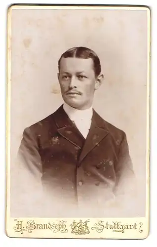 Fotografie H. Brandseph, Stuttgart, Marienstrasse 36, Portrait Herr mit Mittelscheitel im Frack