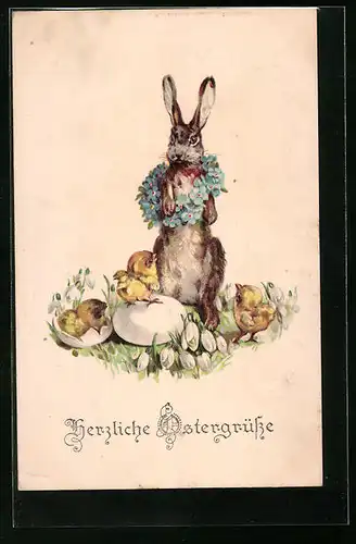 AK Osterhase umgeben von Osterküken