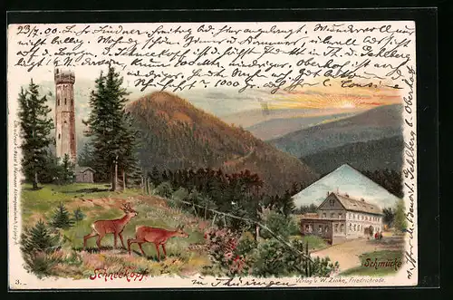 Lithographie Schmücke, Hotel Schmücke, Schneekopf mit Aussichtsturm und Rehen