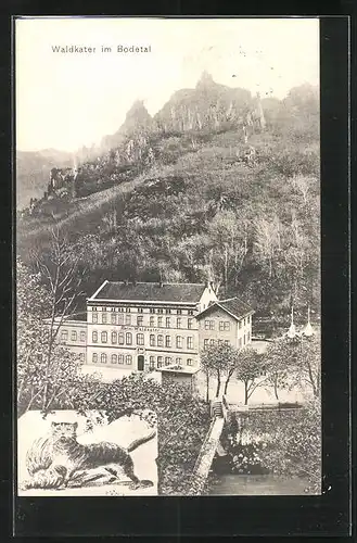 AK Thale, Hotel Waldkater im Bodetal
