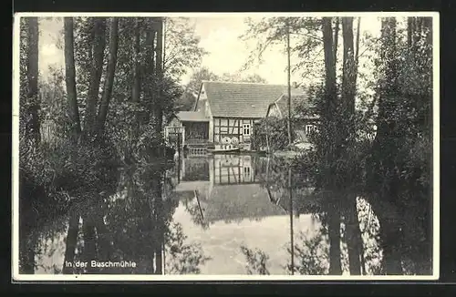 AK Burg /Spreewald, Gasthaus Buschmühle