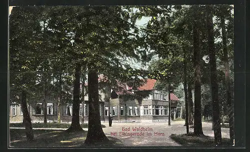 AK Elbingerode /Harz, Gasthof Bad Waldheim