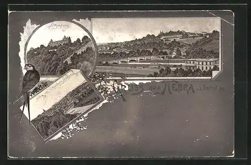 Lithographie Nebra a. d. Unstrut, Vitzenburg, Schwalbe, Panorama