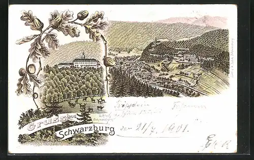 Lithographie Schwarzburg, Schloss, Panorama