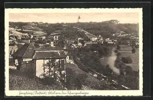 AK Freyburg /Unstrut, Blick von den Schweigenbergen